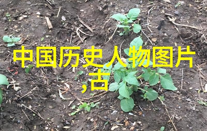 四大美女死的样子古代美人的死亡瞬间