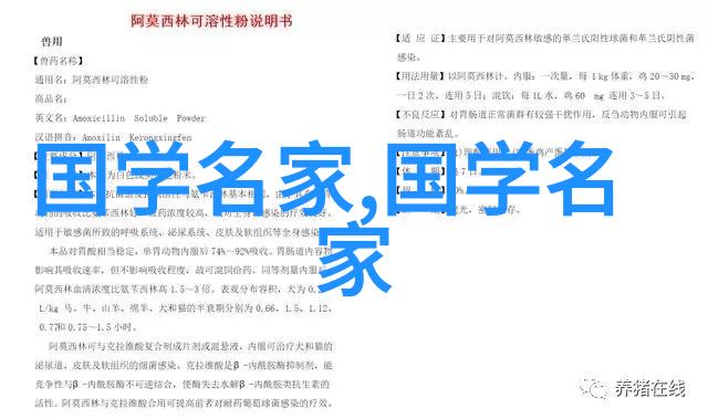 中国的世界级名人李梦阳在社会的舞台上闪耀