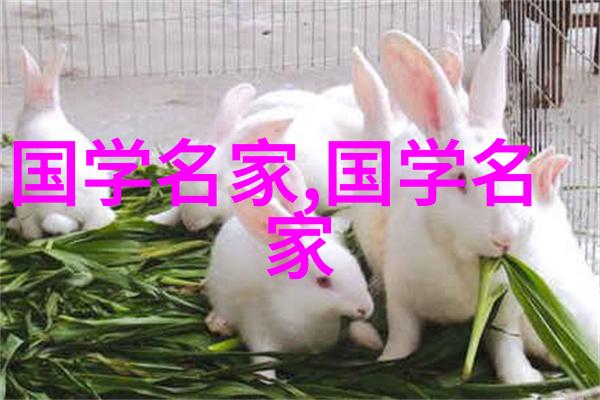 风流人物数当代-历史的长河中现代社会中的传奇形象