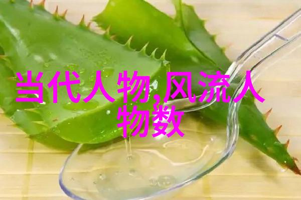 中华盛世百杰照耀历史长河