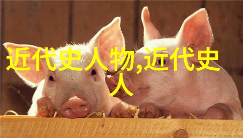历史上的伟人曹操的策略与智慧