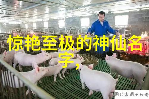 背叛与爱情揭秘那些心狠手辣的中国十大渣男