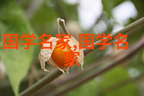 国学名家我眼中的书香人生从孔孟到朱熹的智慧探索