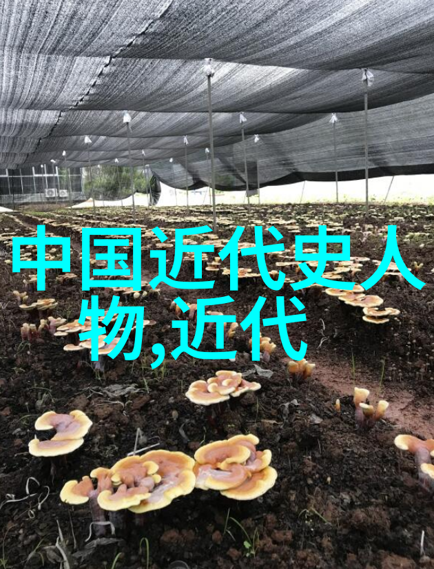 全球公认十大美男颜值与魅力的巅峰之选