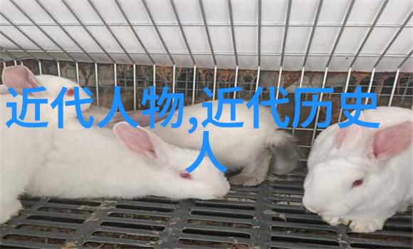 东坡雨中书写寒食帖背后的故事