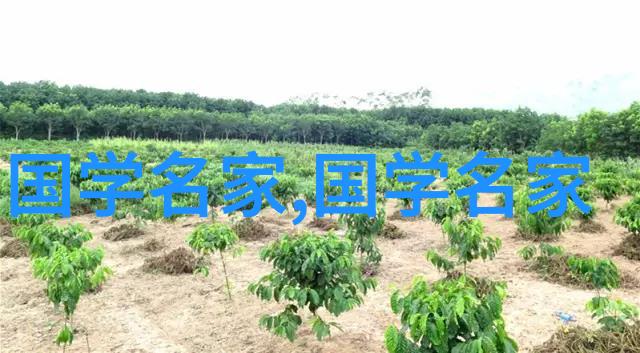 笑傲千古历史名人的趣事连连看