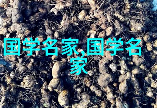 中国的世界级名人我国那些让全球瞩目的明星们
