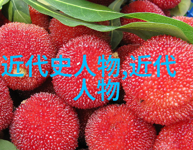 名人传记-走进历史的光辉著名人物的传奇故事
