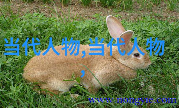 古今中外名人素材-探秘历史巨星揭秘世界上最伟大的智者与艺术家