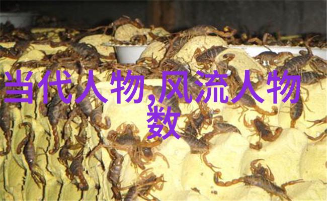 英雄谱千古英魂的永恒回响
