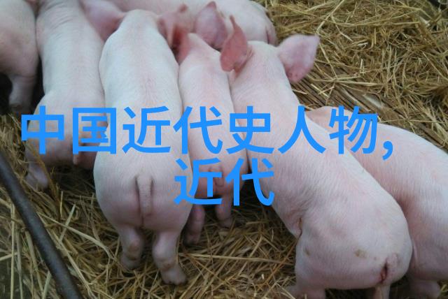 追溯时光的足迹解读历史人物背后的时代印记