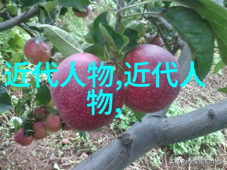 年轻漂亮的护士 3 - 美丽救赎年轻护士的坚守与光芒