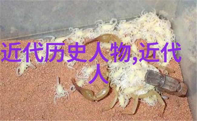 最打动女人心的花深深长相思之美