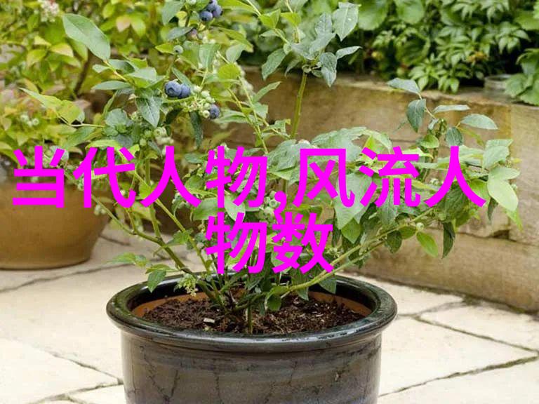 诗书画词四大才女的艺术奇迹