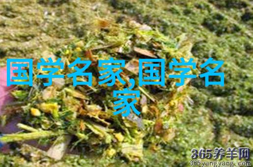 历史上的奇迹与传奇探秘古代文明的奥秘
