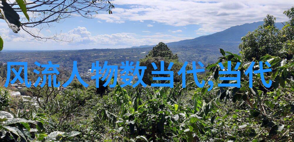 探索中国历史的巨匠从文王到康熙领略古代英杰精神