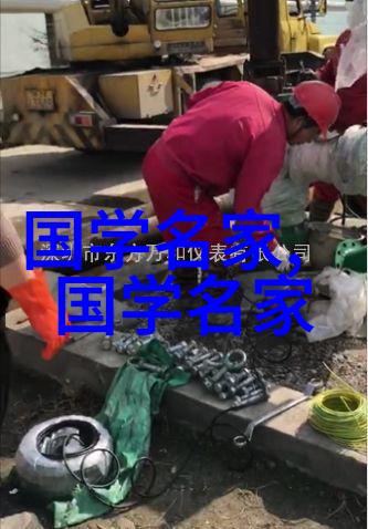 卓别林影坛的魔法师