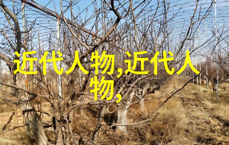 中国历史上的巨匠从先秦到现代的智者与勇士