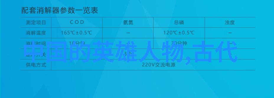 从光辉岁月到暗夜孤影历史人物的双面