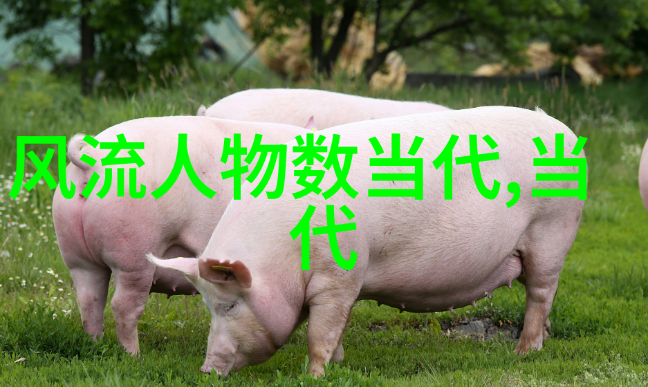 05eee我是怎么发现这串数字的秘密的
