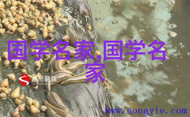 全球第一美女是谁 - 美丽的无限探索揭秘世界上最迷人的女性