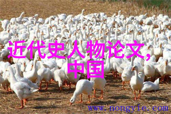 历史的面纱名人的轮廓与光芒