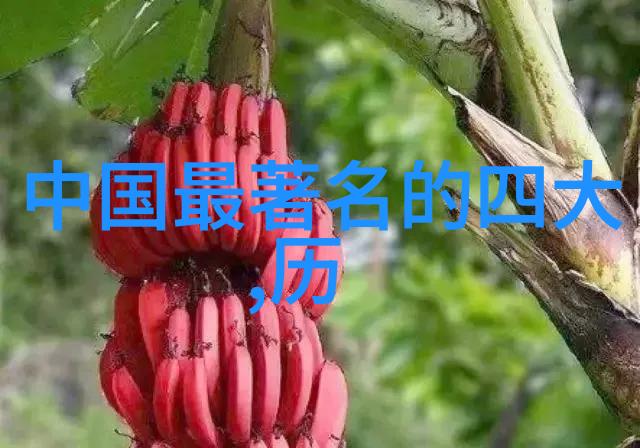 美貌与才华并重中国第一美女的双重奏鸣
