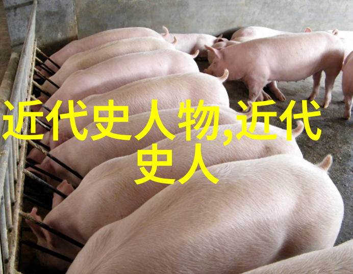 余霏霏小说世界温苒傅慎言的奇幻之旅
