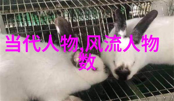 道德经全文与译文解读小周天大周天之道