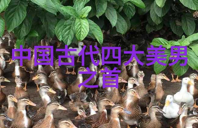 历史四大美女结局-时光荏苒历史四大美人的传奇终章