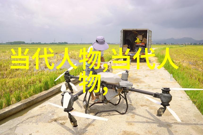 三国演义中的刘备从夷陵之战到成都称帝