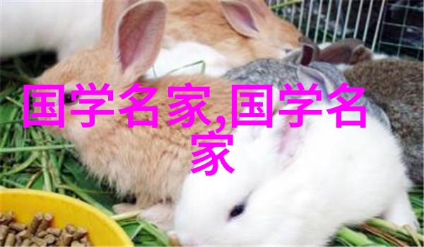 在上方的咀嚼与下方的被啃食物链中的奇妙交错