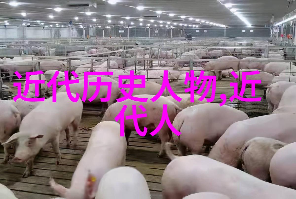 古典美学-探索传统美四大美女的魅力