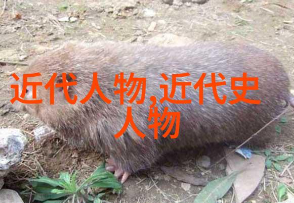 中国古代四大美男照片我眼中的古代帅哥揭秘那些穿越千年的风范