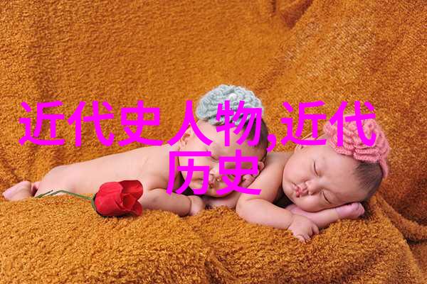 红楼梦中的贾宝玉一个迷失在梦境中的少年