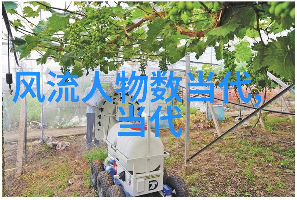 绘声绘影探索最美诗经30首中的韵律与意境
