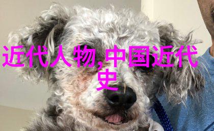古代智慧西游记中的悟空与唐僧