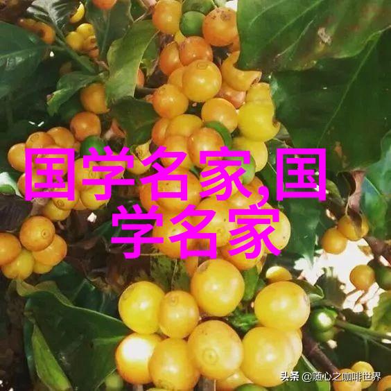 时间静止的瞬间捕捉到仙气与清冷的精髓