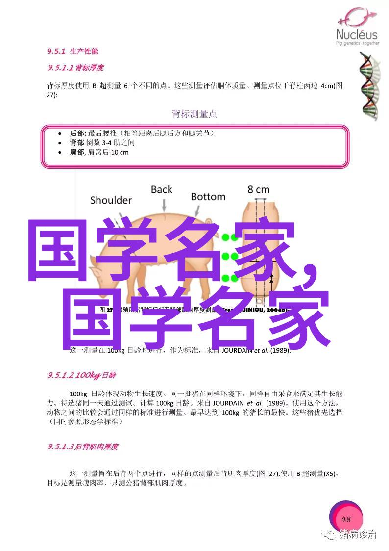 古代伟大的历史人物-长江后浪漫史诸葛亮的军事智慧与政治远见