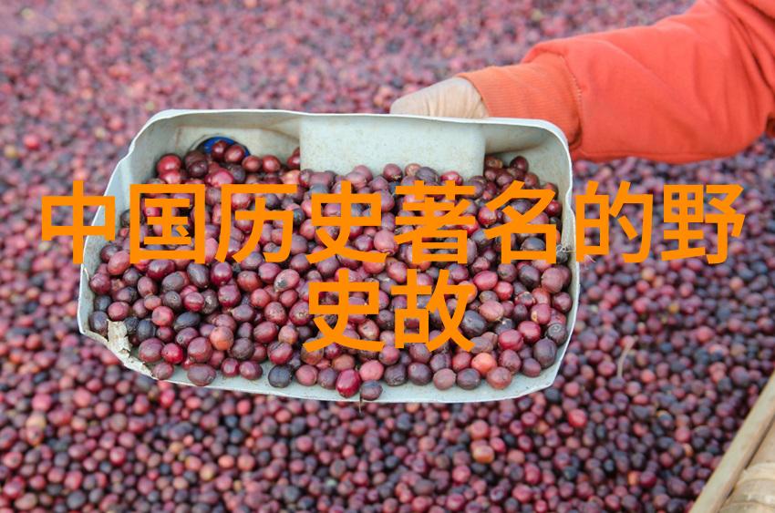 这位历史人物对于推动科技进步艺术创作等领域有什么贡献