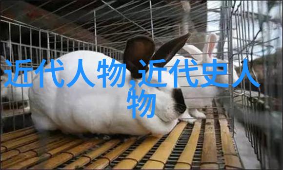 历史人物图片 - 缅怀往昔历史巨匠画像展