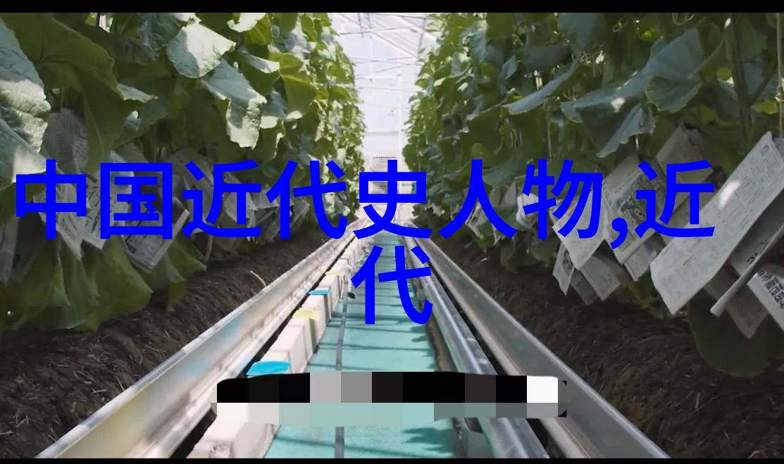 关于历史人物的资料我眼中的古人揭秘那些神秘的历史巨星