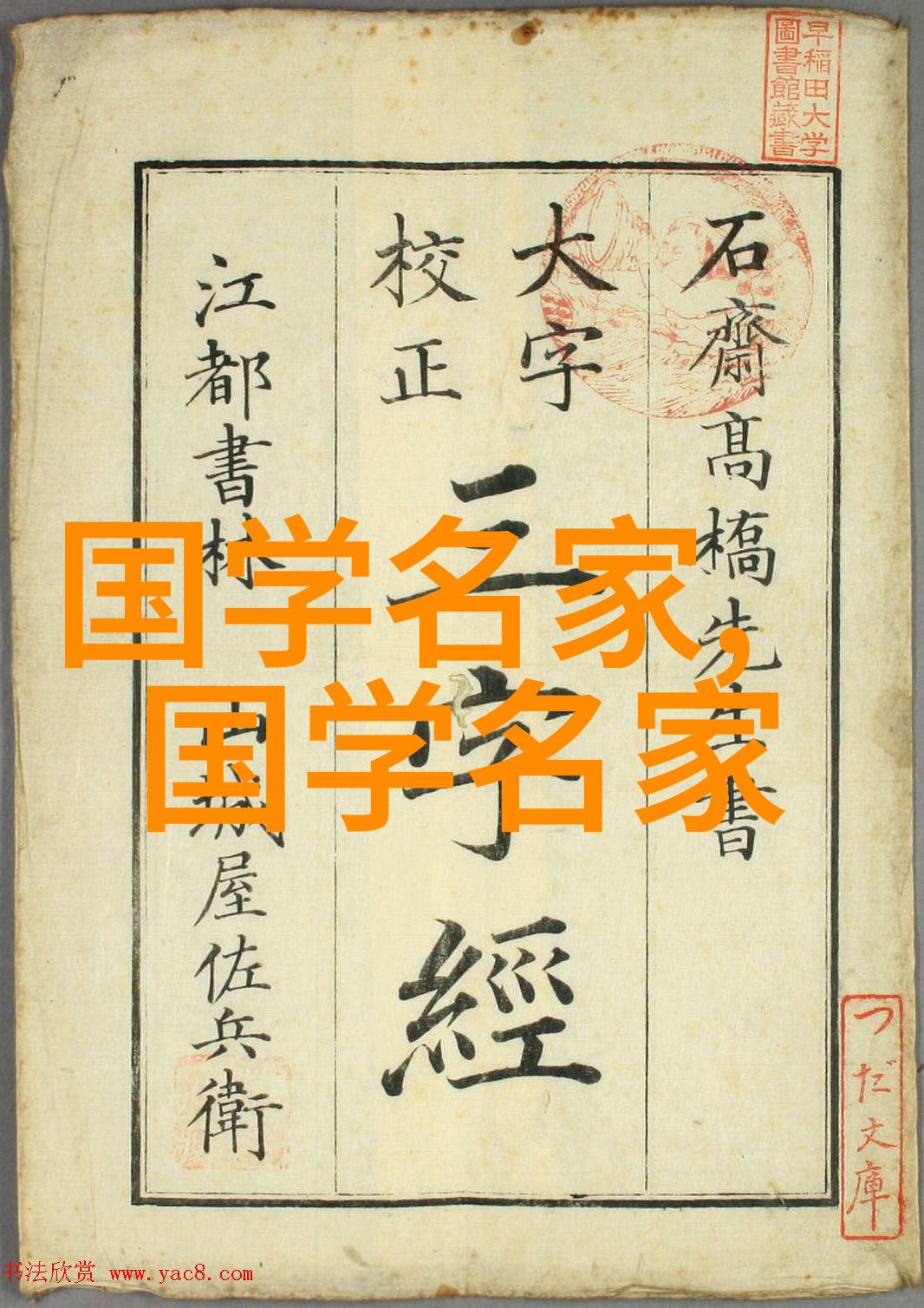 诠释传奇全球著名女性历史人物的故事与影响