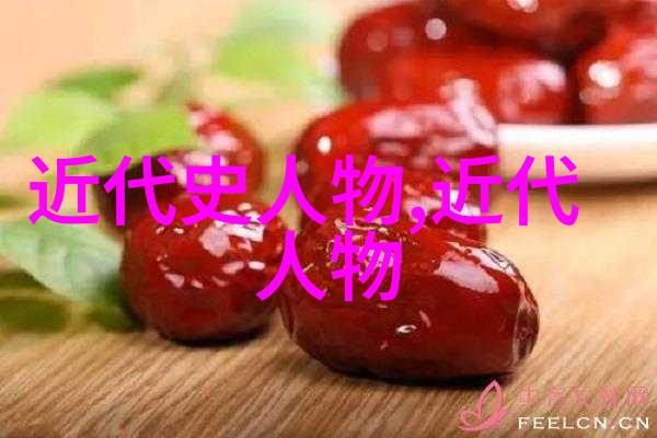 三国演义中诸葛亮的智谋蜀汉丞相诸葛亮的智慧和勇气