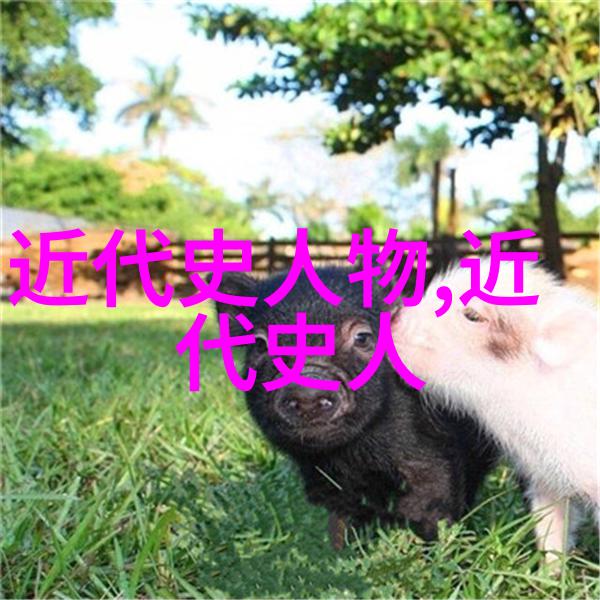 明镜易破唐玄宗与安史之乱的秘密