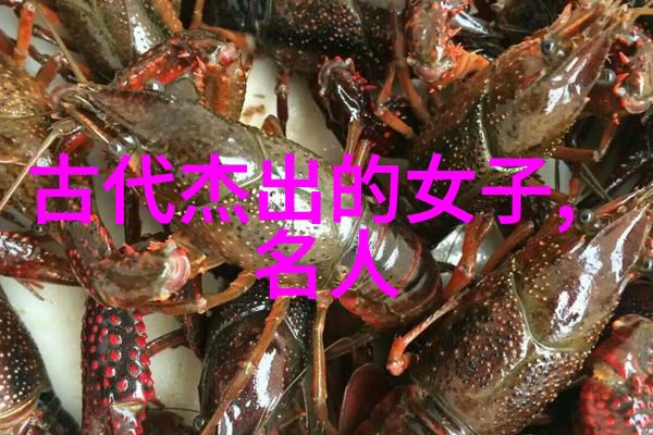中国最美女神第一名倾国倾城的笑容与智慧