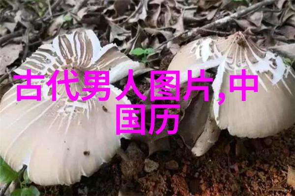 乘坐公交车的安全小贴士两个小女孩的教训