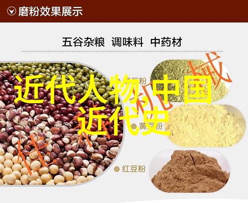 青春与牺牲深入剖析青年时代的伟大英雄