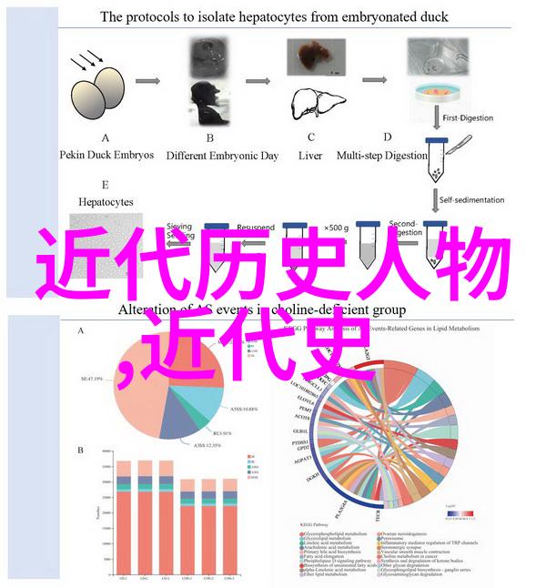 探索中国古今人物从孔子到邓小平的历史长河
