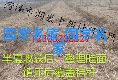 海上繁花梦回忆佳期如梦番外篇